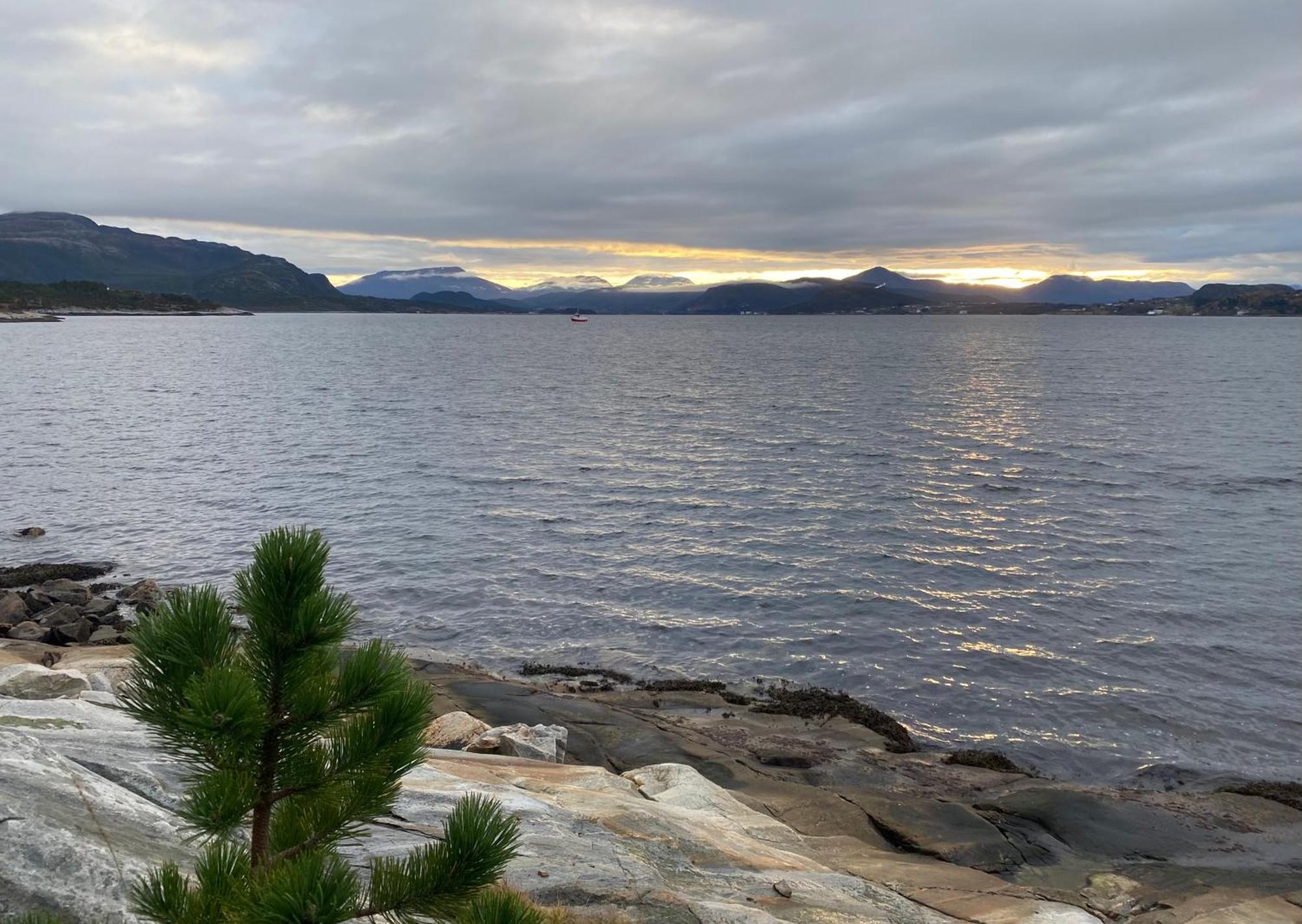 Wake Up To A Beautiful View And Smell Of The Sea Apartamento Kristiansund Exterior foto
